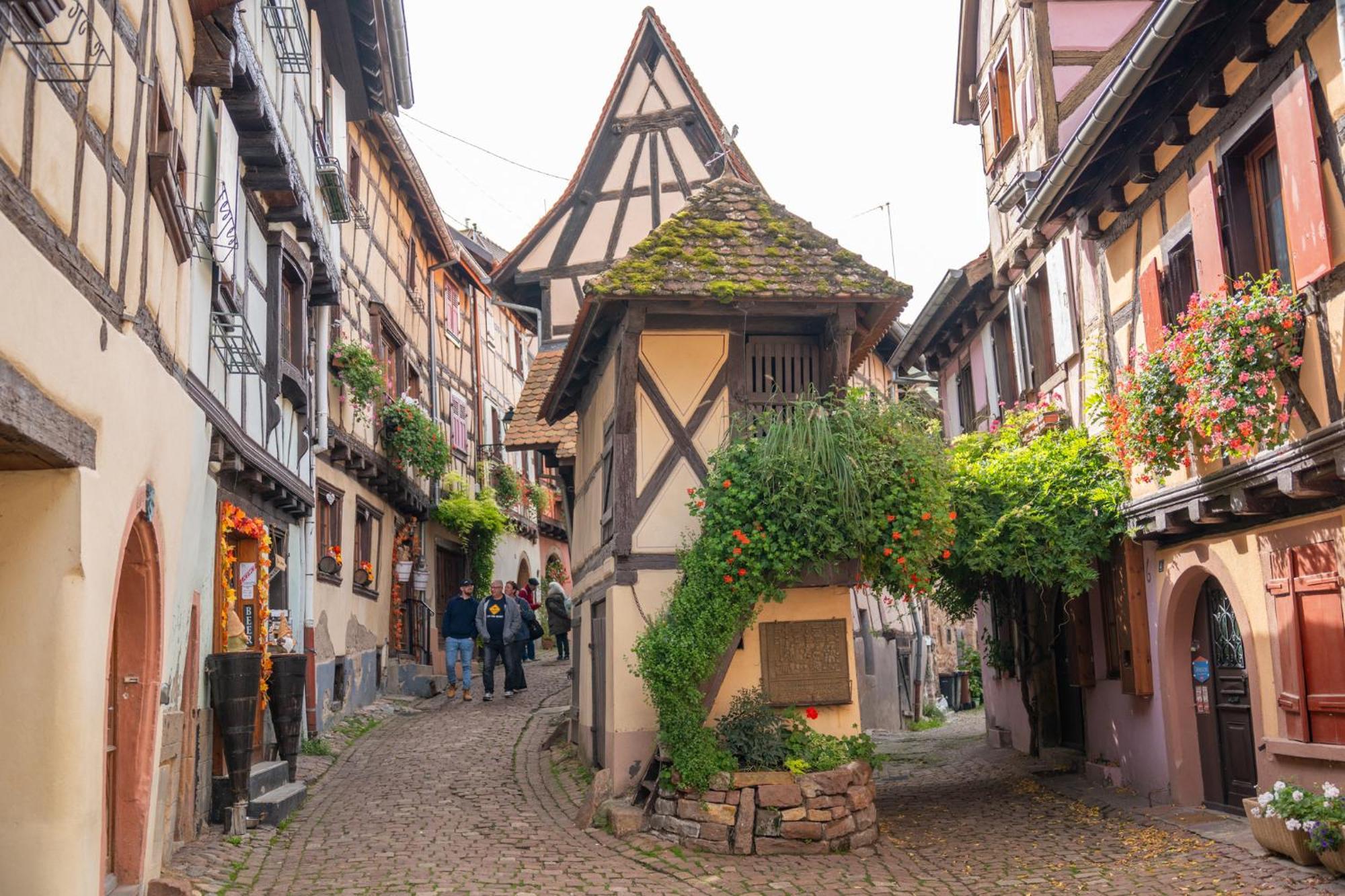 Gite La Grange Eguisheim Exterior foto